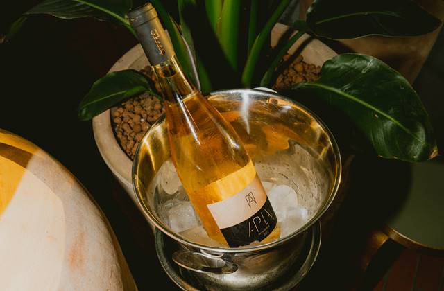 A bottle of white wine chilling in an ice bucket, surrounded by green potted plants, creating a cosy and inviting atmosphere.